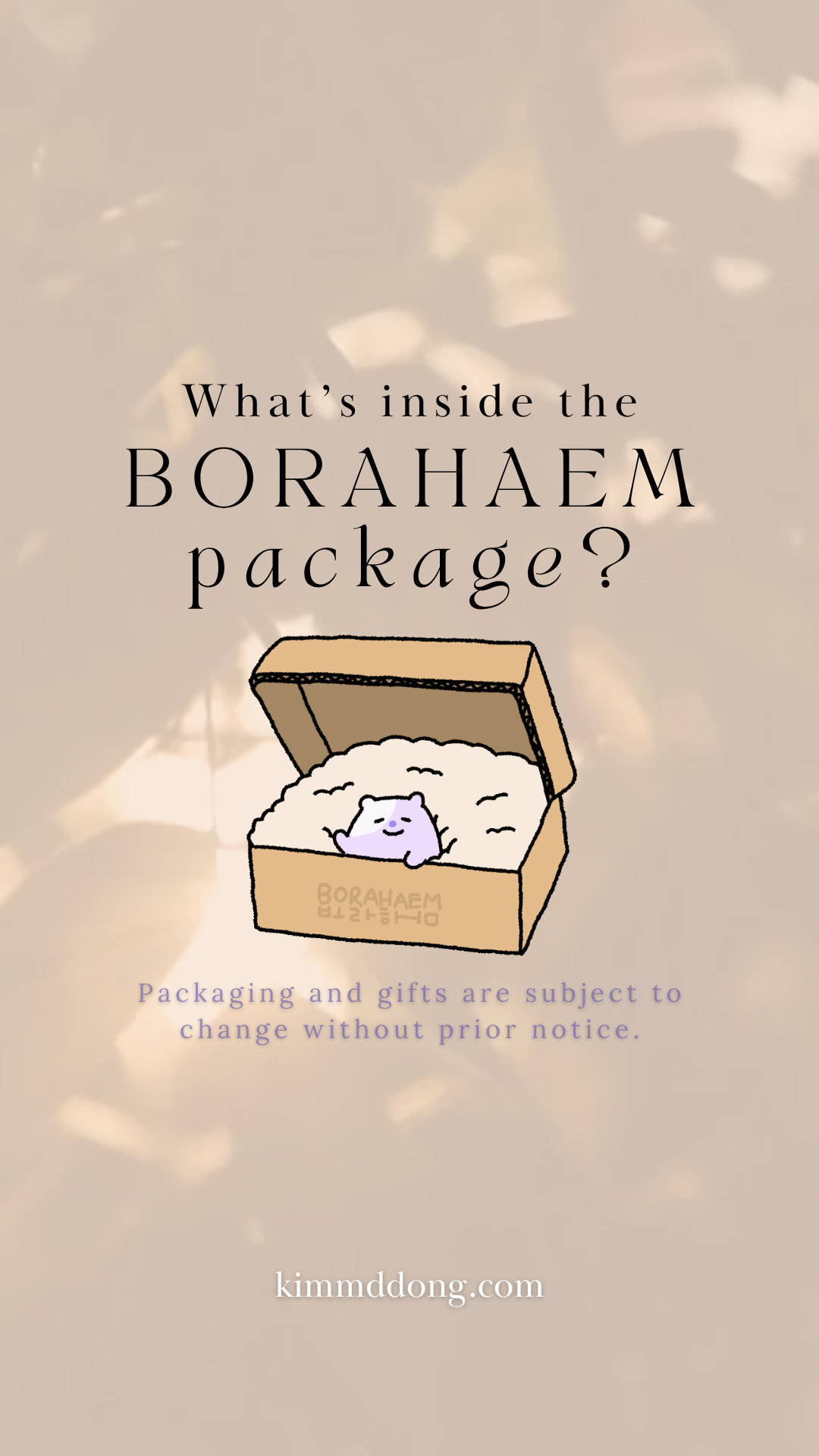 [Drop #0008] BORAHAEM Plush Keychain Set – 10cm (2 Pieces)